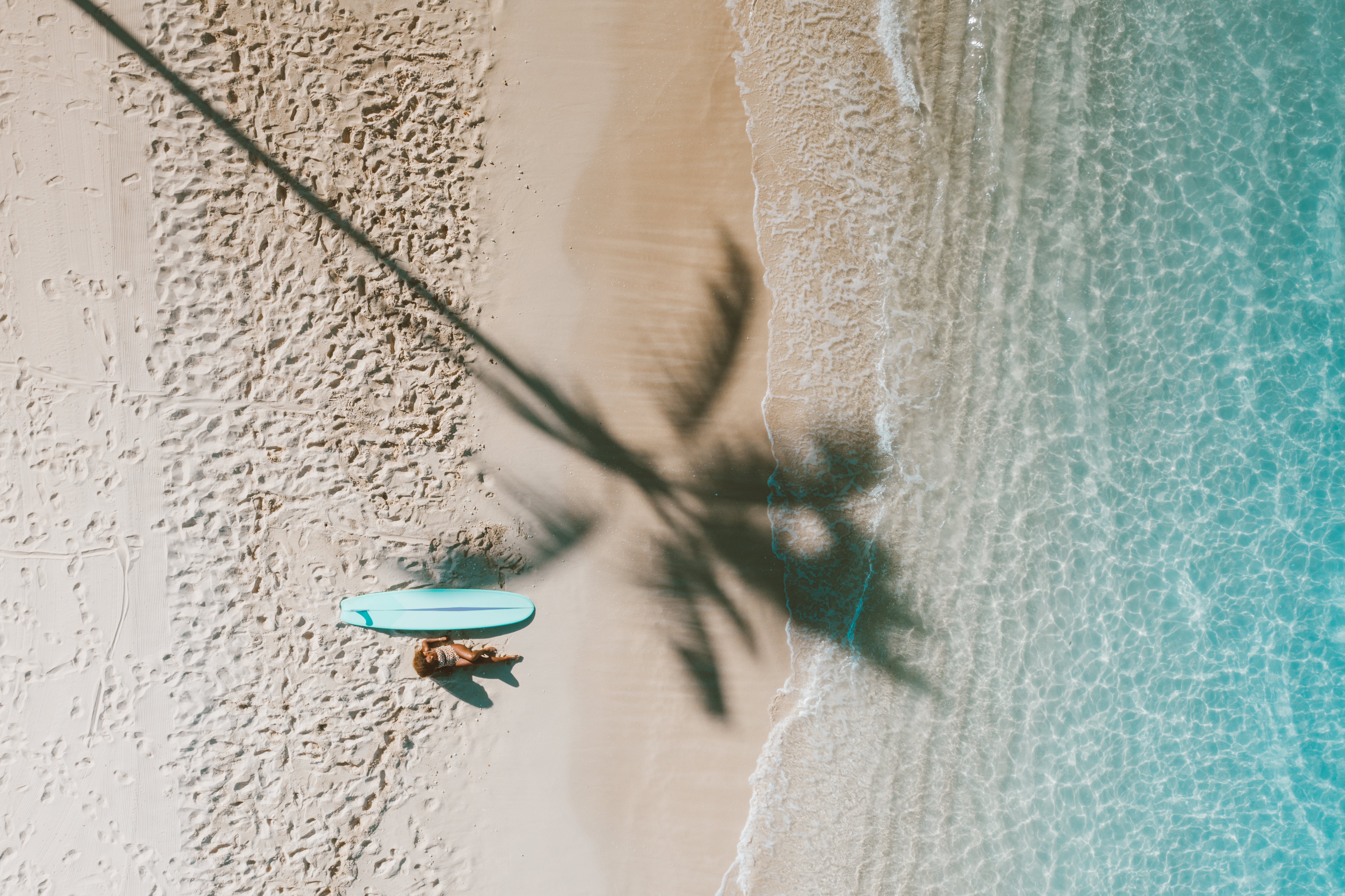 Vista aérea — playa, olas y sombra de palmera